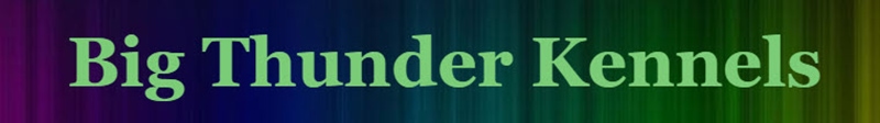 Big Thunder Kennels logo