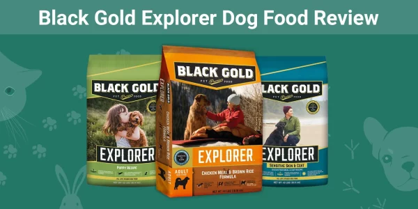 Black Gold Explorer Dog Food - Featured Image