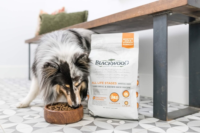 Blackwood Dry Dog Food