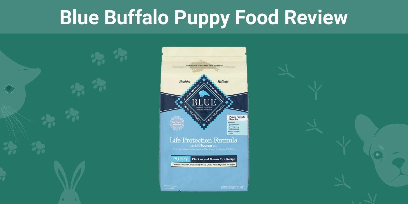 Blue Buffalo Puppy Food - Featured Image