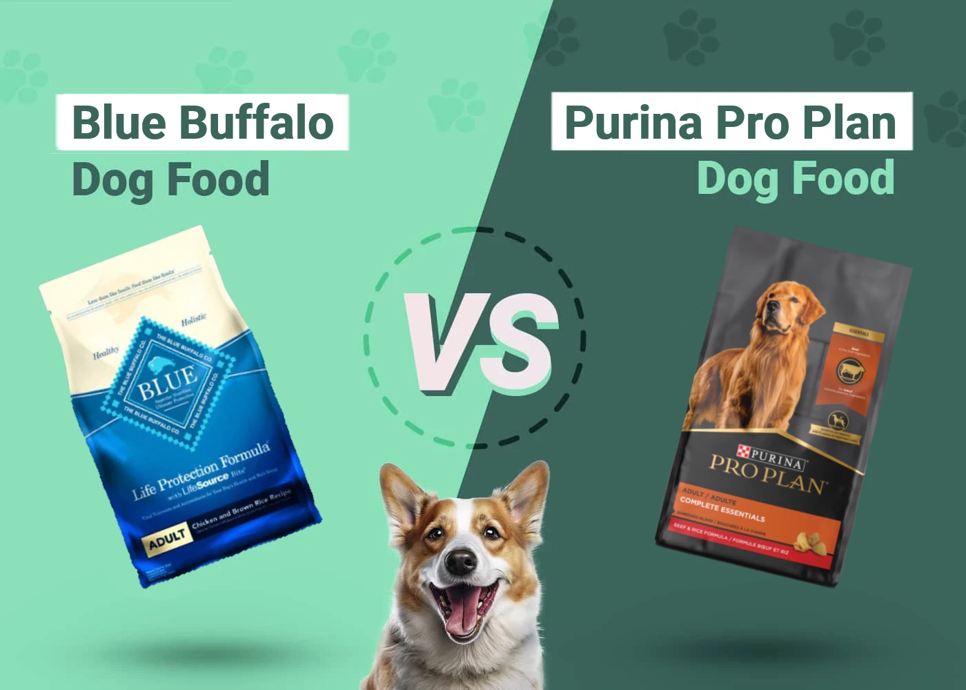 Blue Buffalo vs Purina Pro Plan - Featured Image