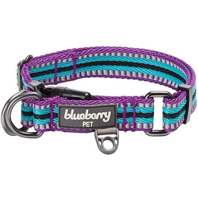 Blueberry Pet 3M Multi-Colored Dog Collar