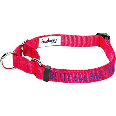 Blueberry Pet Safety Training Personalized Dog Collar