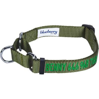 Blueberry Pet Safety Training Personalized Martingale Dog Collar