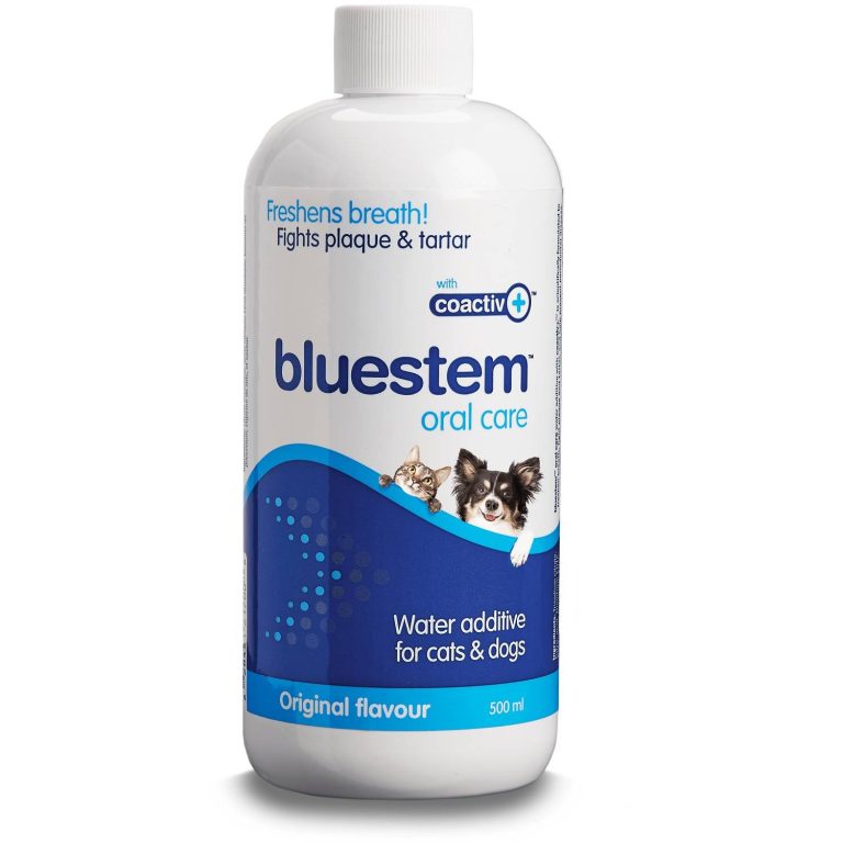8 Best Dog Dental Water Additives in 2024 Reviews & Top Picks Dogster