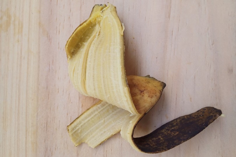 My Dog Ate a Banana Peel Signs, Complications & Risks Dogster