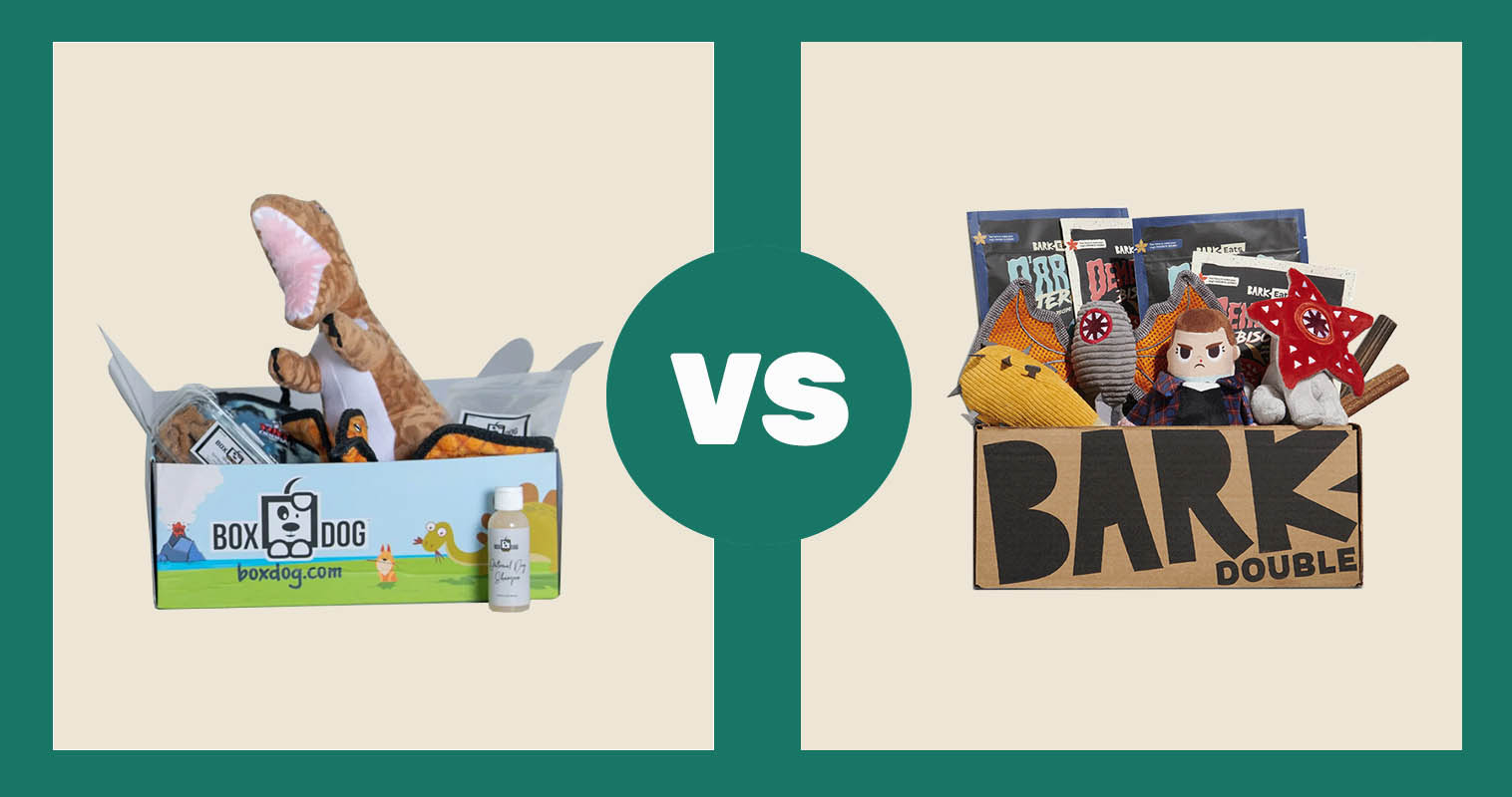 BoxDog vs BarkBox