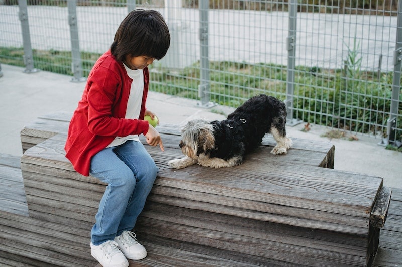 Boy wearing red playing with a dog