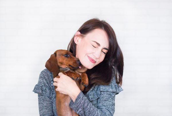 Brown dachshund licking woman