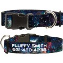 Buckle-Down Personalized Dog Collar