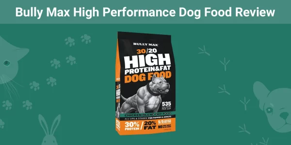 Bully Max High Performance Dog Food - Featured Image