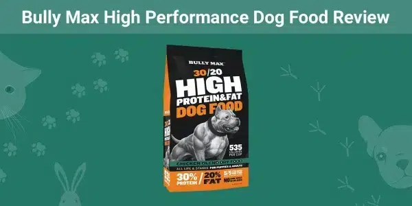 bully performance food