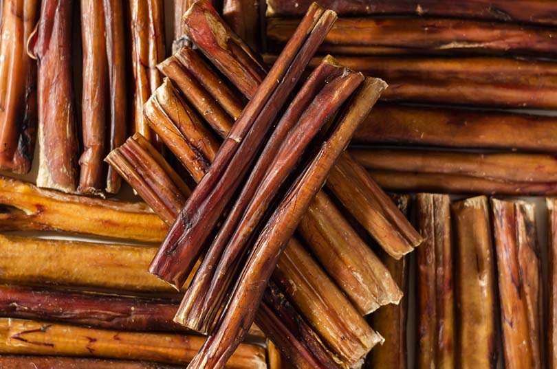 Bully Stick