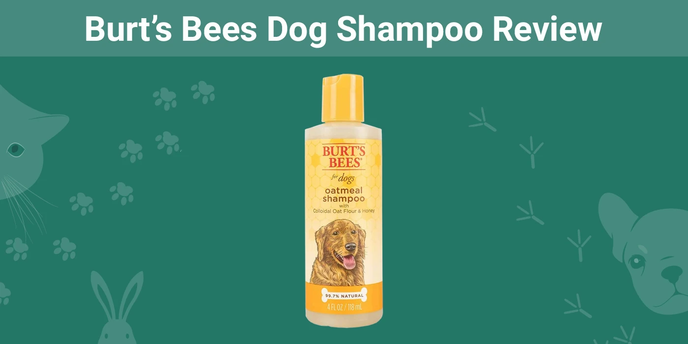 Burt’s Bees Dog Shampoo - Featured Image