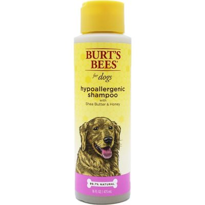 Burt's Bees Hypoallergenic Dog Shampoo