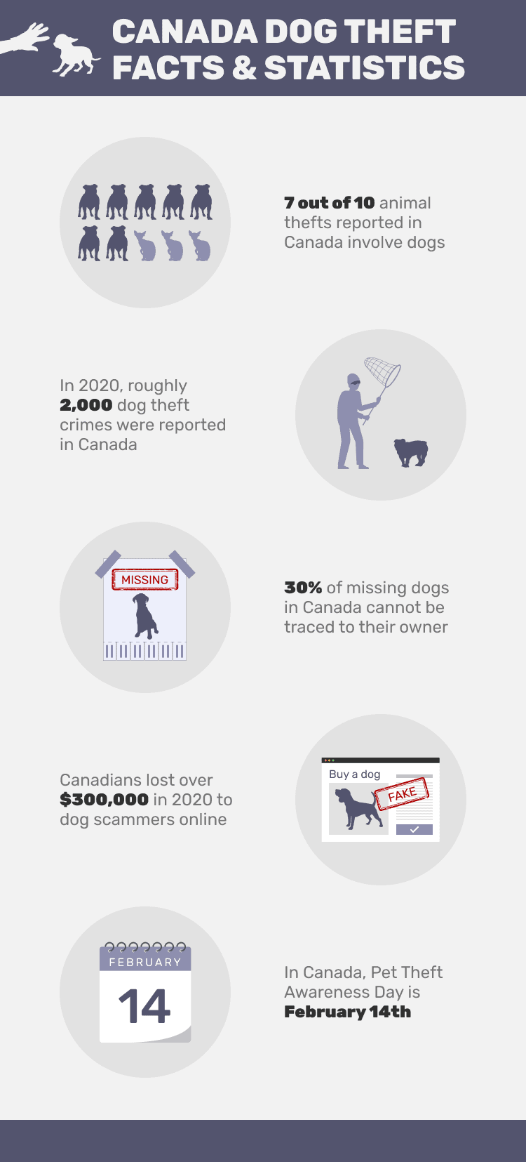 CANADA_DOG_THEFT_FACTS_&_STATISTICS