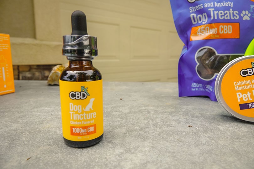 CBDfx Dog Tincture