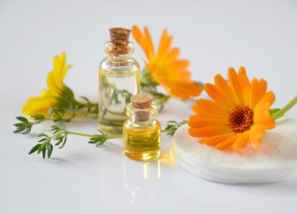 Calendula flower herb and oils