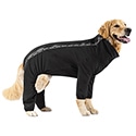 Canada Pooch Slush Dog Suit