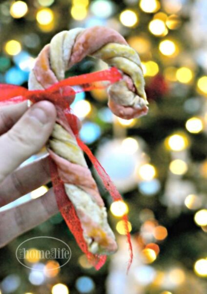 Candy Cane Dog Treats from First Home Love Life