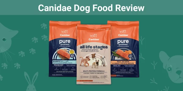 Canidae Dog Food Review - Featured Image