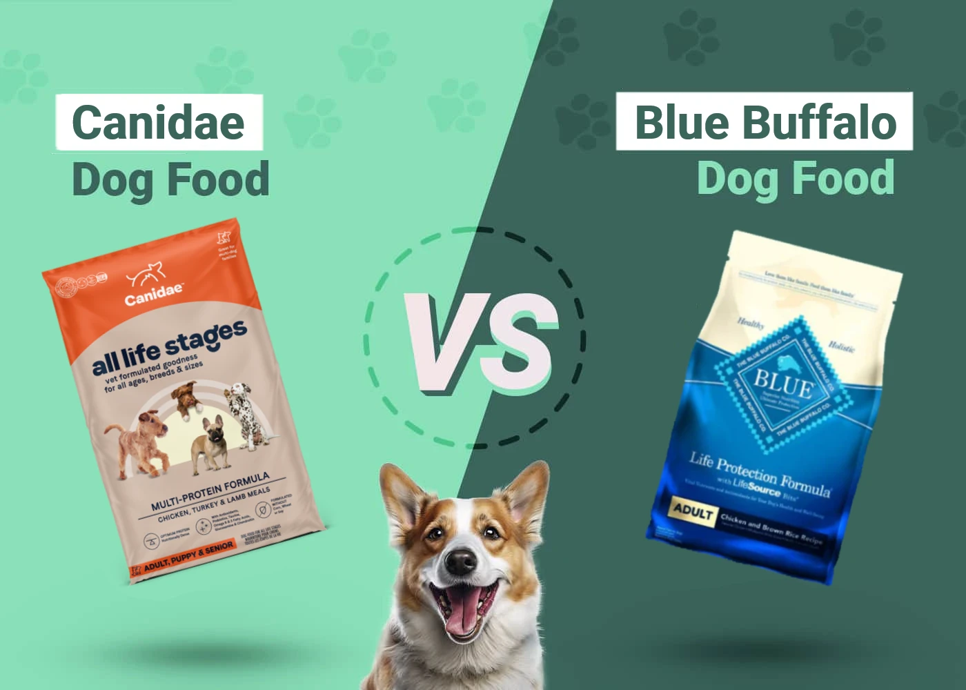 Canidae vs Blue Buffalo Dog Food - Featured Image