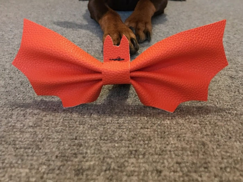 Canine Compilation_DIY Halloween, Bat Bow Tie For Dogs