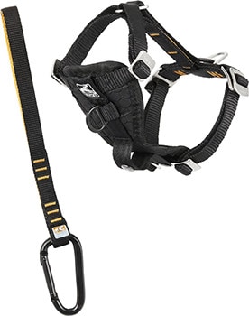 Car Seat Or Harness