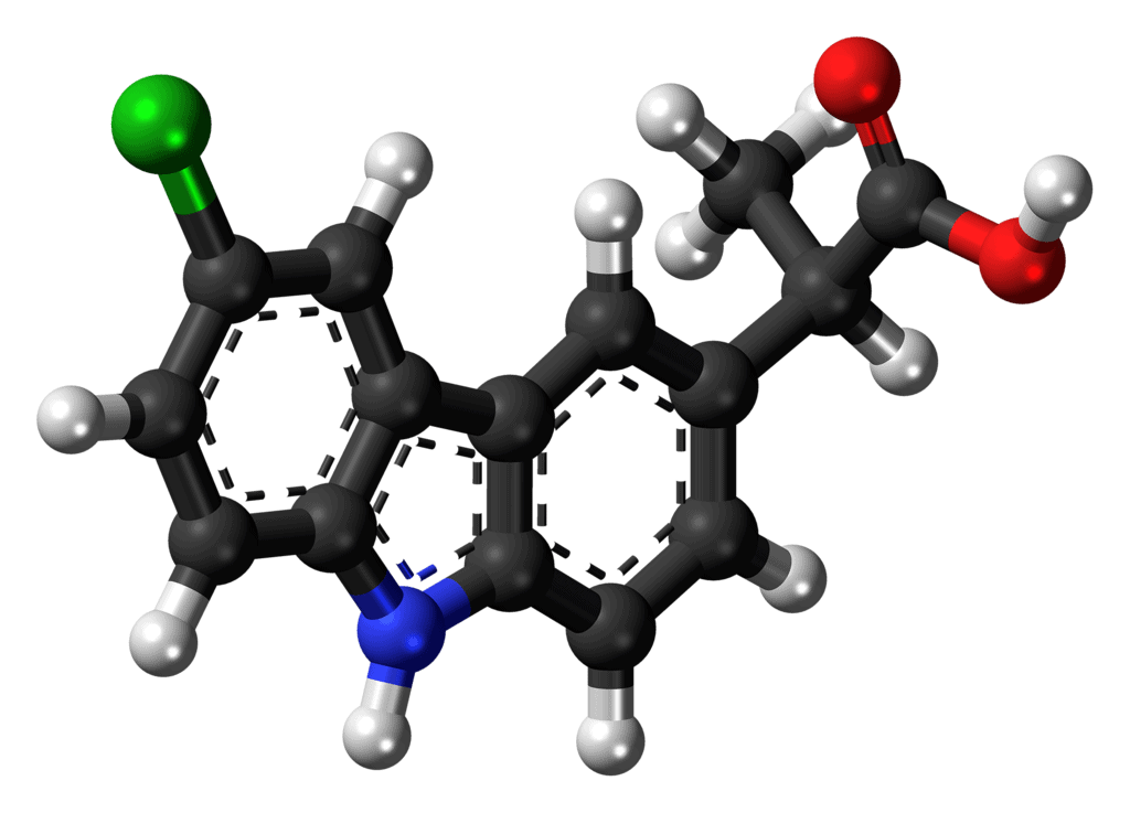 Carprofen molecule ball