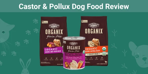 Castor & Pollux Dog Food - Featured Image