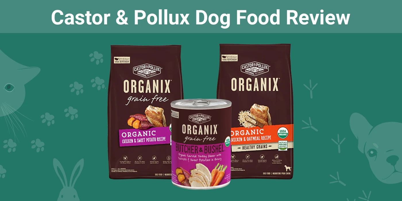 Castor & Pollux Dog Food - Featured Image