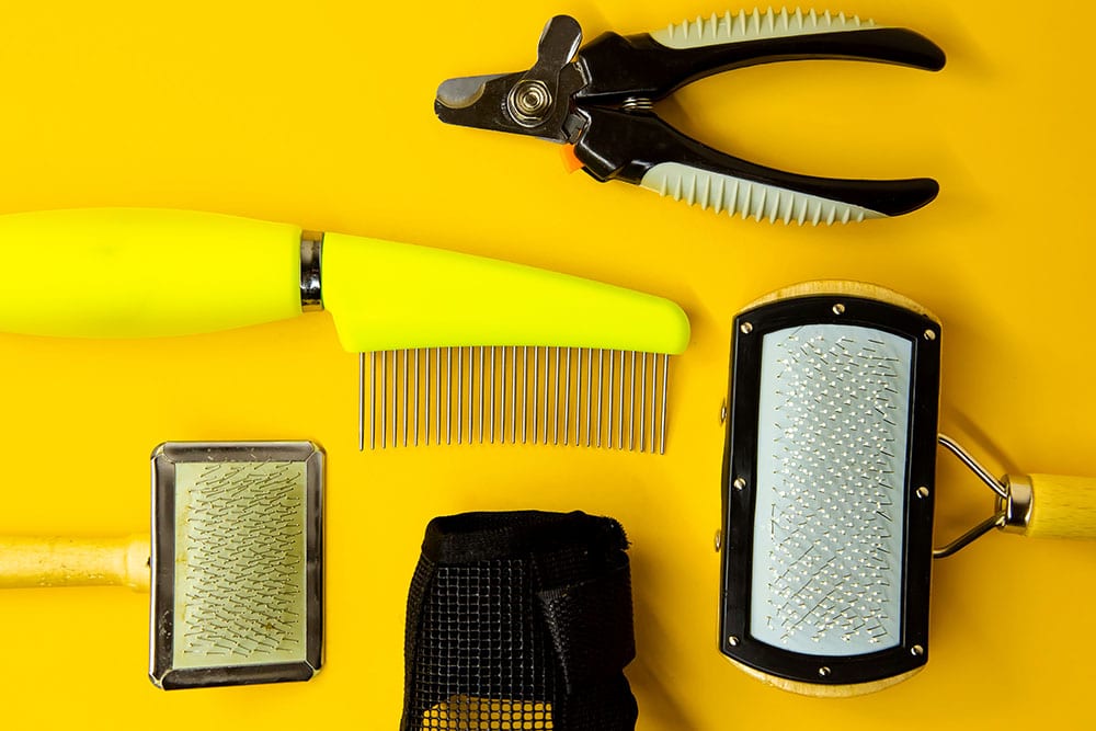 Cat Grooming tools