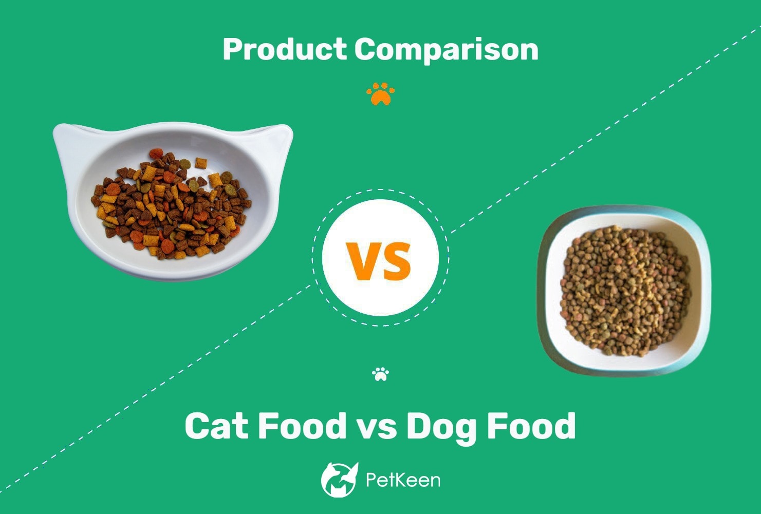 cat-food-vs-dog-food-the-main-differences-dogster