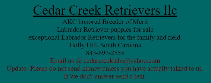 Cedar Creek Retrievers LLC