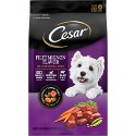 Cesar Small Dog Dry Food