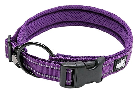 Chai’s Choice Comfort Cushion Dog Collar