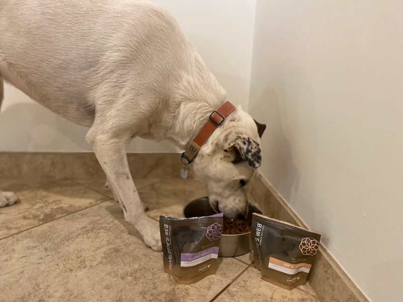 Charlotte’s Web Brand - indy eating hemp products