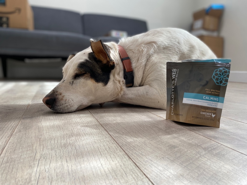 Charlotte’s Web Brand - indy sleeping next to calming chews bag