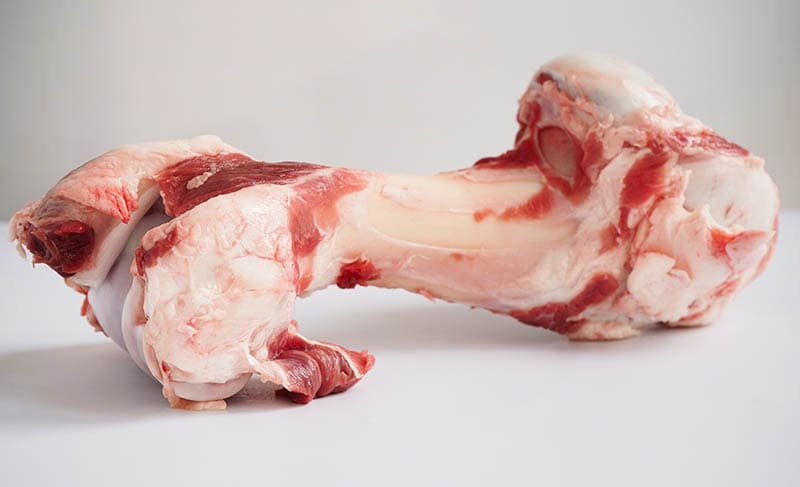 Close-up large raw bone