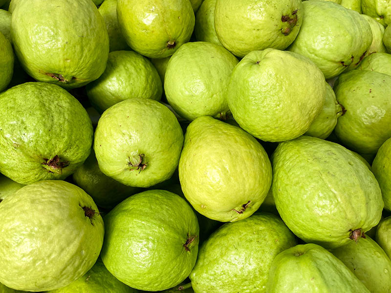Close-up photo of guavas in market