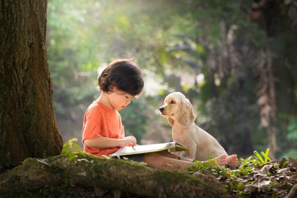 Cocker Spaniel puppy and Asian boy under a tree