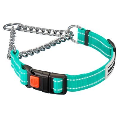CollarDirect Adjustable Training Collar