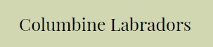 Columbine Labradors