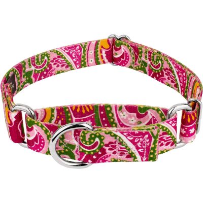 Country Brook Martingale Dog Collar