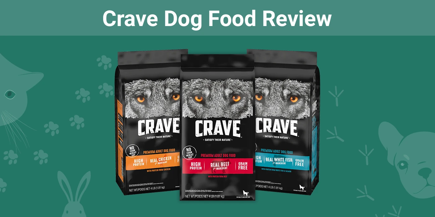 Crave Dog Food - Featured Image
