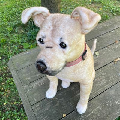 Cuddle Clones Personalized Stuffed Dog
