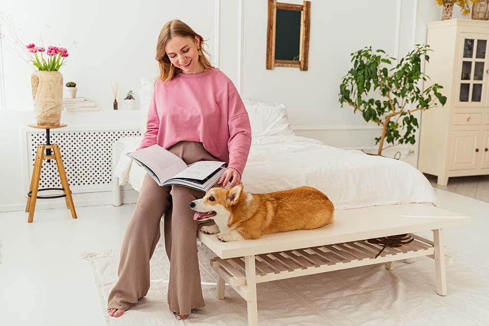 Cute Dog Lying Beside a Female