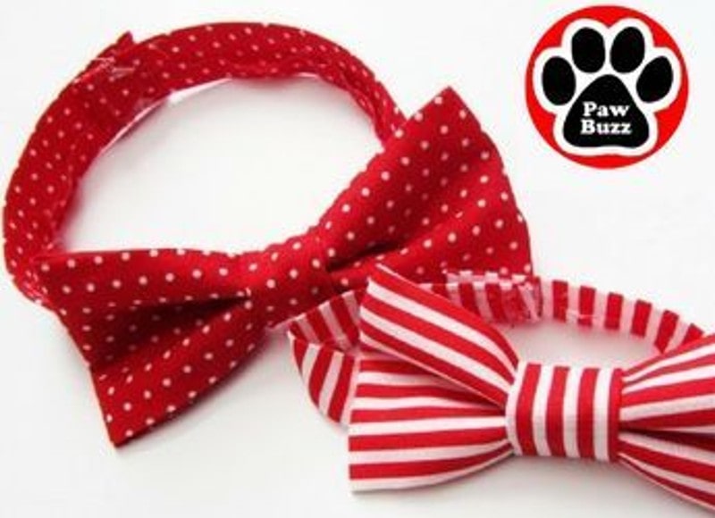 DIY Christmas Dog Collar
