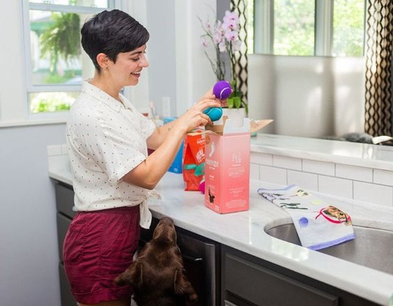 DIY Christmas Dog Toys