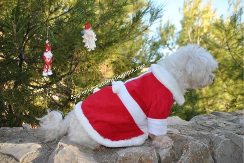 DIY Dog Sweater For Dog
